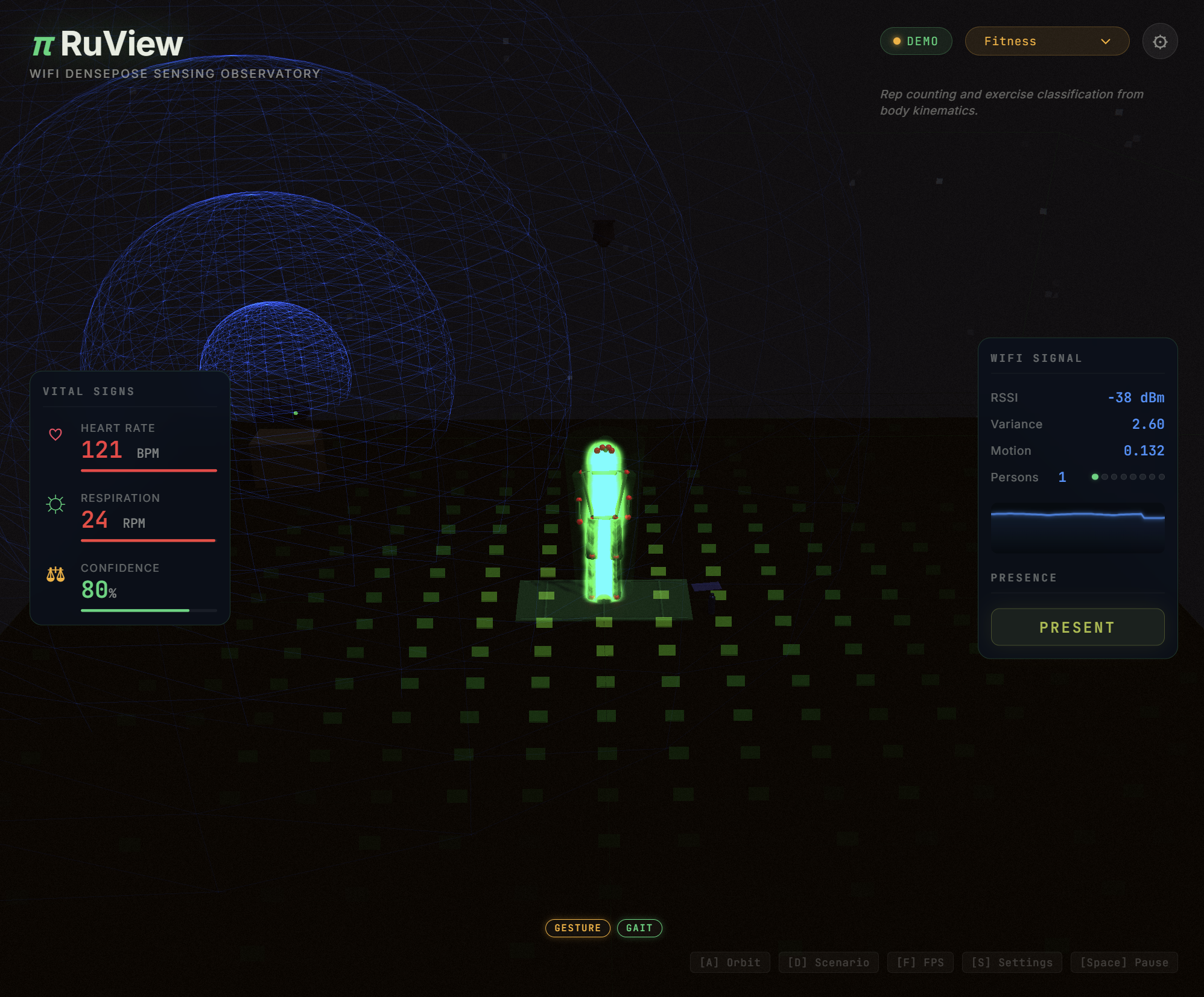 RuView's upstream demo visualisation, not Paul's test results
